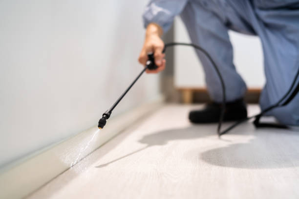 Licensed Cockroach Control service in Crump, TN - Nex Pest Control