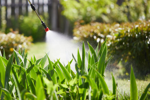24/7 Emergency Cockroach Control experts in Crump, TN