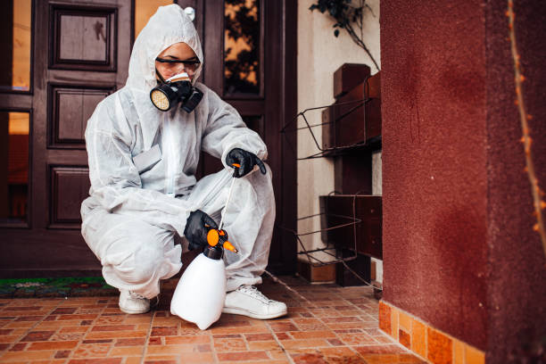 Reliable Cockroach Control contractor in Crump, TN by Nex Pest Control
